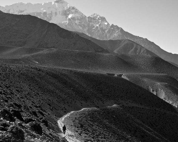 Sơn tường nội thất